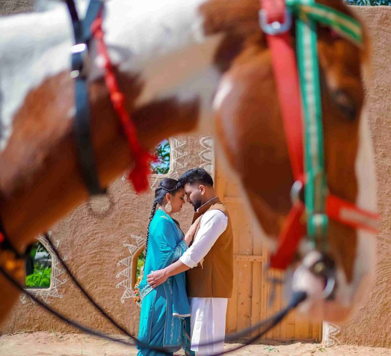 Photography and videography